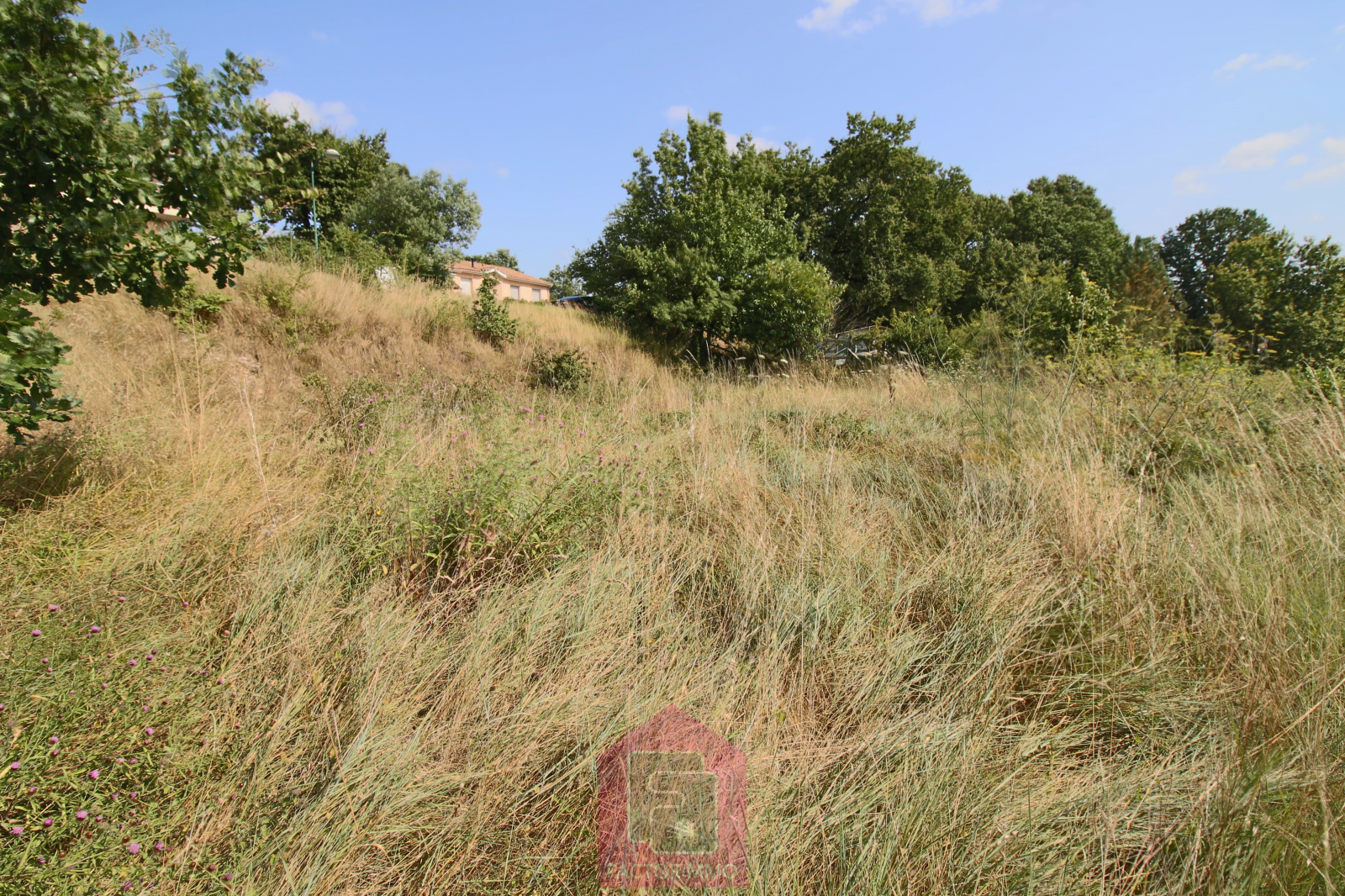 Image_, Terrain, Puy-l'Évêque, ref :174