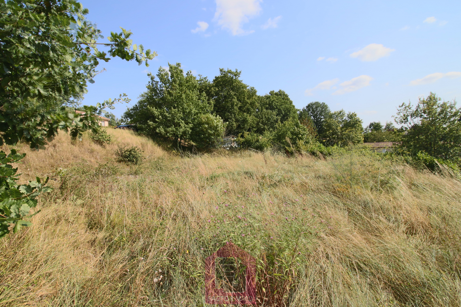 Image_, Terrain, Puy-l'Évêque, ref :174