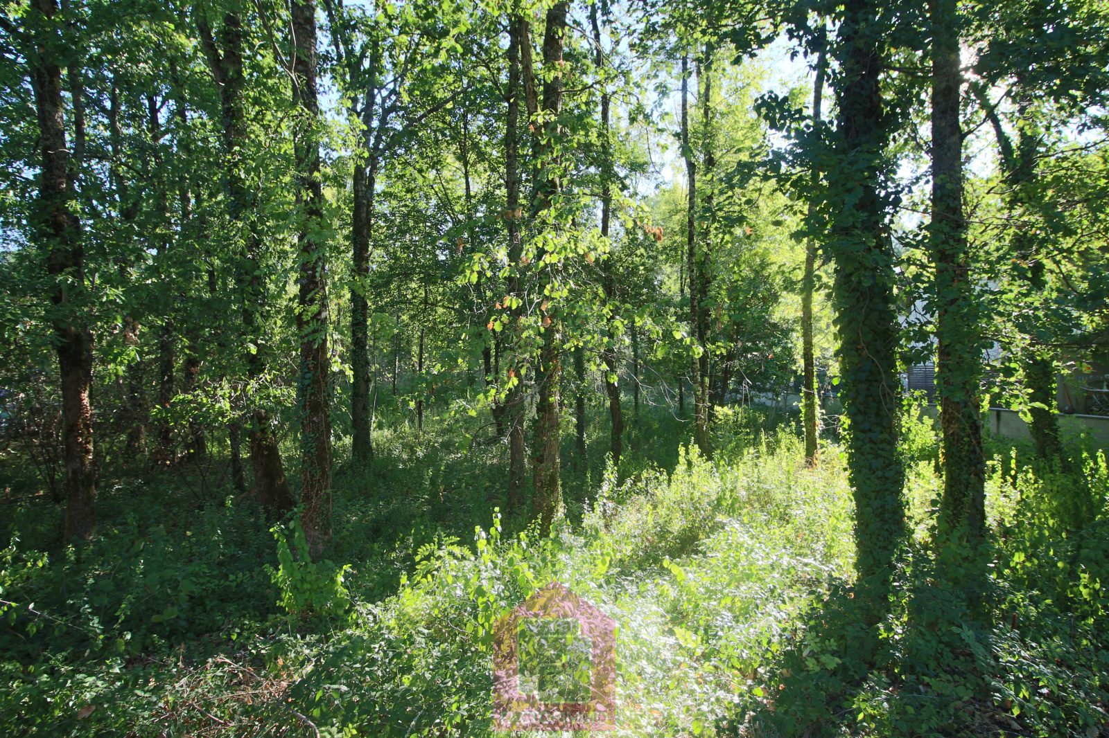 Image_, Terrain, Luzech, ref :107